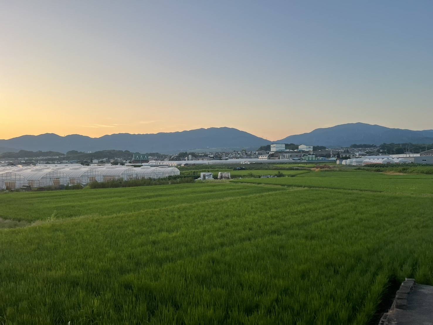 TKY FIELD